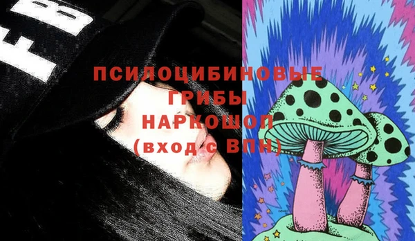 ГАЛЛЮЦИНОГЕННЫЕ ГРИБЫ Абаза