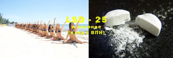 ГАЛЛЮЦИНОГЕННЫЕ ГРИБЫ Абаза
