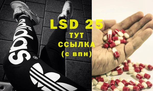 ГАЛЛЮЦИНОГЕННЫЕ ГРИБЫ Абаза