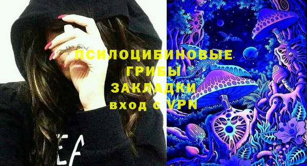 ГАЛЛЮЦИНОГЕННЫЕ ГРИБЫ Абаза