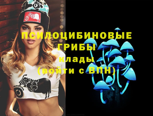 ГАЛЛЮЦИНОГЕННЫЕ ГРИБЫ Абаза